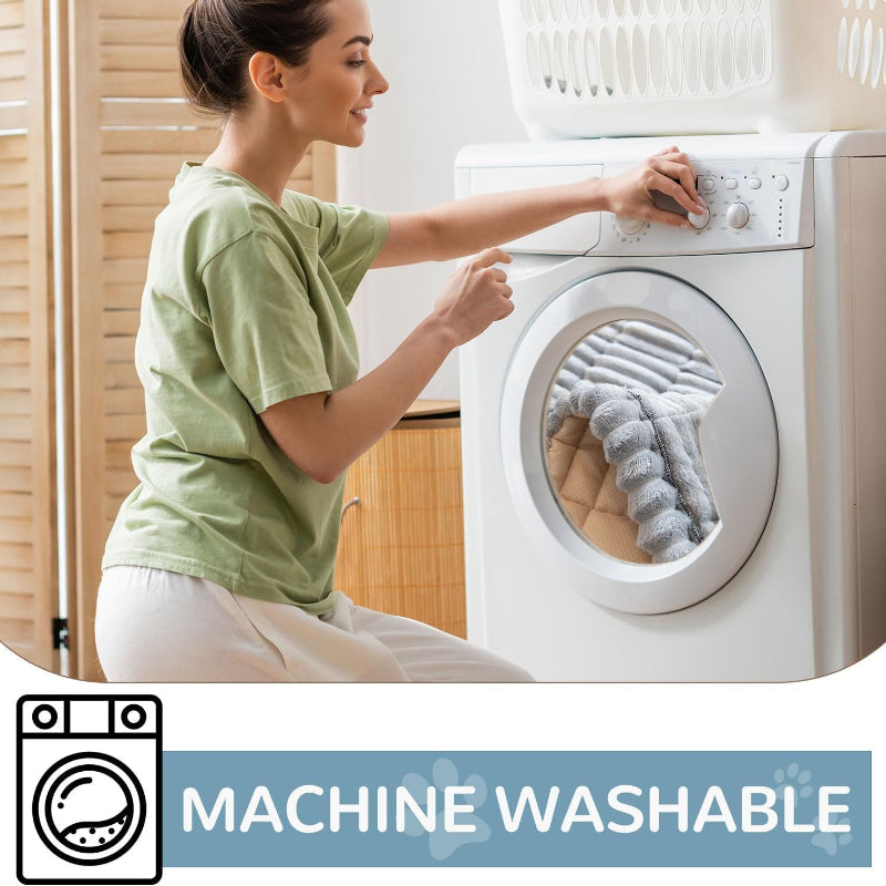img_12402847