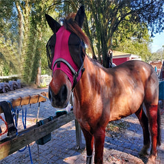 Horse Mask Anti Fly Worms Breathable Mesh Eye Cover