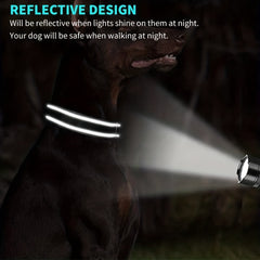 Reflective Dog Collars with Engraved Name Plate