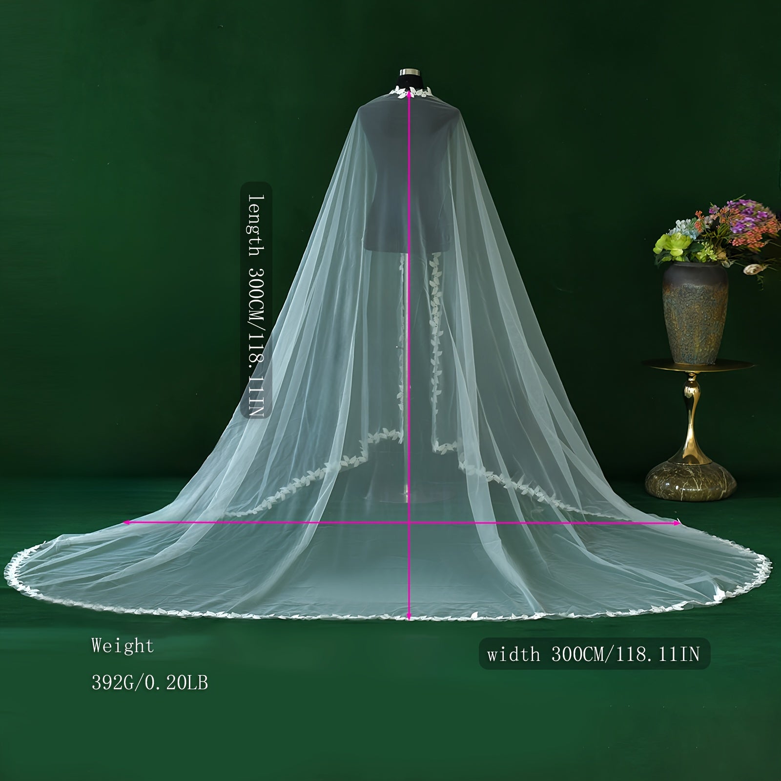 Long Train Bridal Veil with Lace Trim for Brides