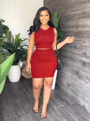 Solid Skirt 2 Piece Set Casual Crew Neck Tank Top & Bodycon Skirt