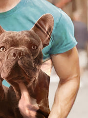 Dog 3d Pattern Print Men's Short Sleeve T shirt Graphic Tee