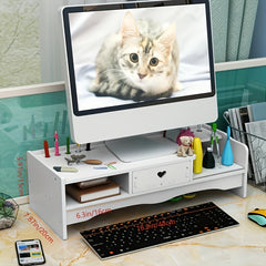 Desktop Monitor Stand with Drawer Storage Rack