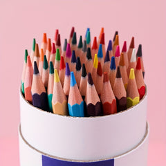 Erasable 48 Colored Pencil Set for Beginners