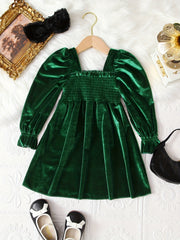 Velvet Long Sleeve Princess Party Dress for Girls