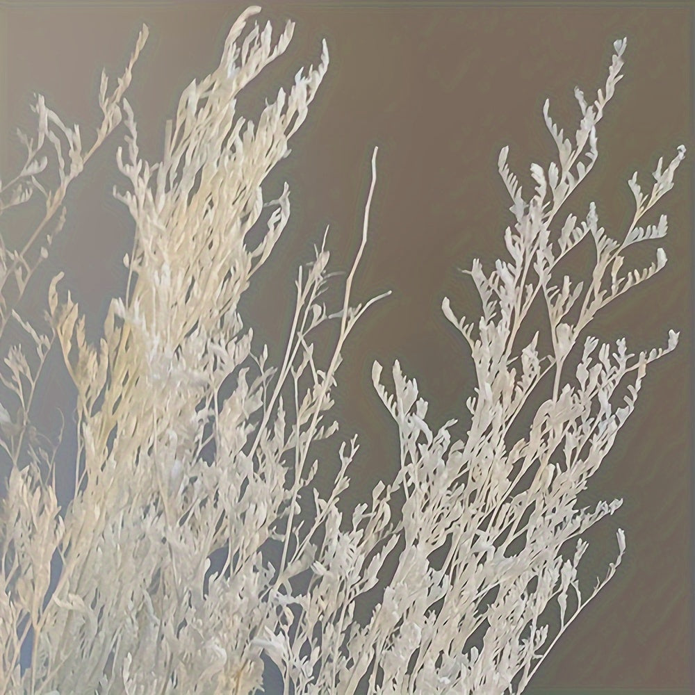 Sea Lavender Stems Fresh Real Flowers Wedding Home Decor Valentine Gift