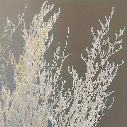 Sea Lavender Stems Fresh Real Flowers Wedding Home Decor Valentine Gift
