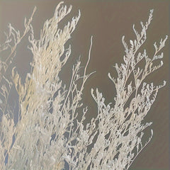 Sea Lavender Stems Fresh Real Flowers Wedding Home Decor Valentine Gift