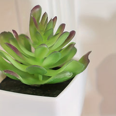 3pcs Artificial Succulents Potted Plants Home Living Room Bedroom Decor