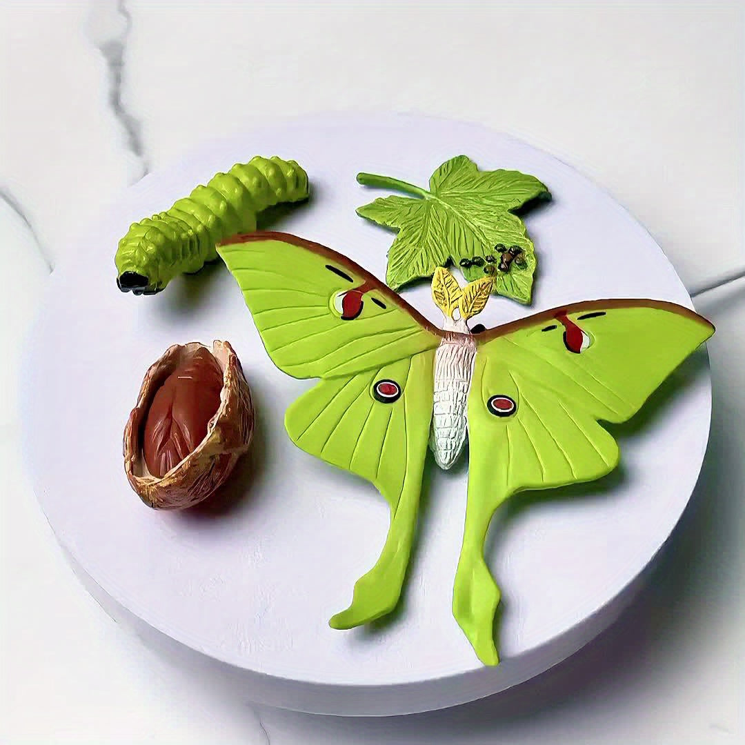 Moon God Moth Life Growth Cycle Toy Set