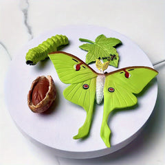 Moon God Moth Life Growth Cycle Toy Set