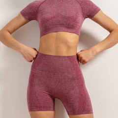 Seamless Yoga Sports Set Crop Top & Slimming Shorts