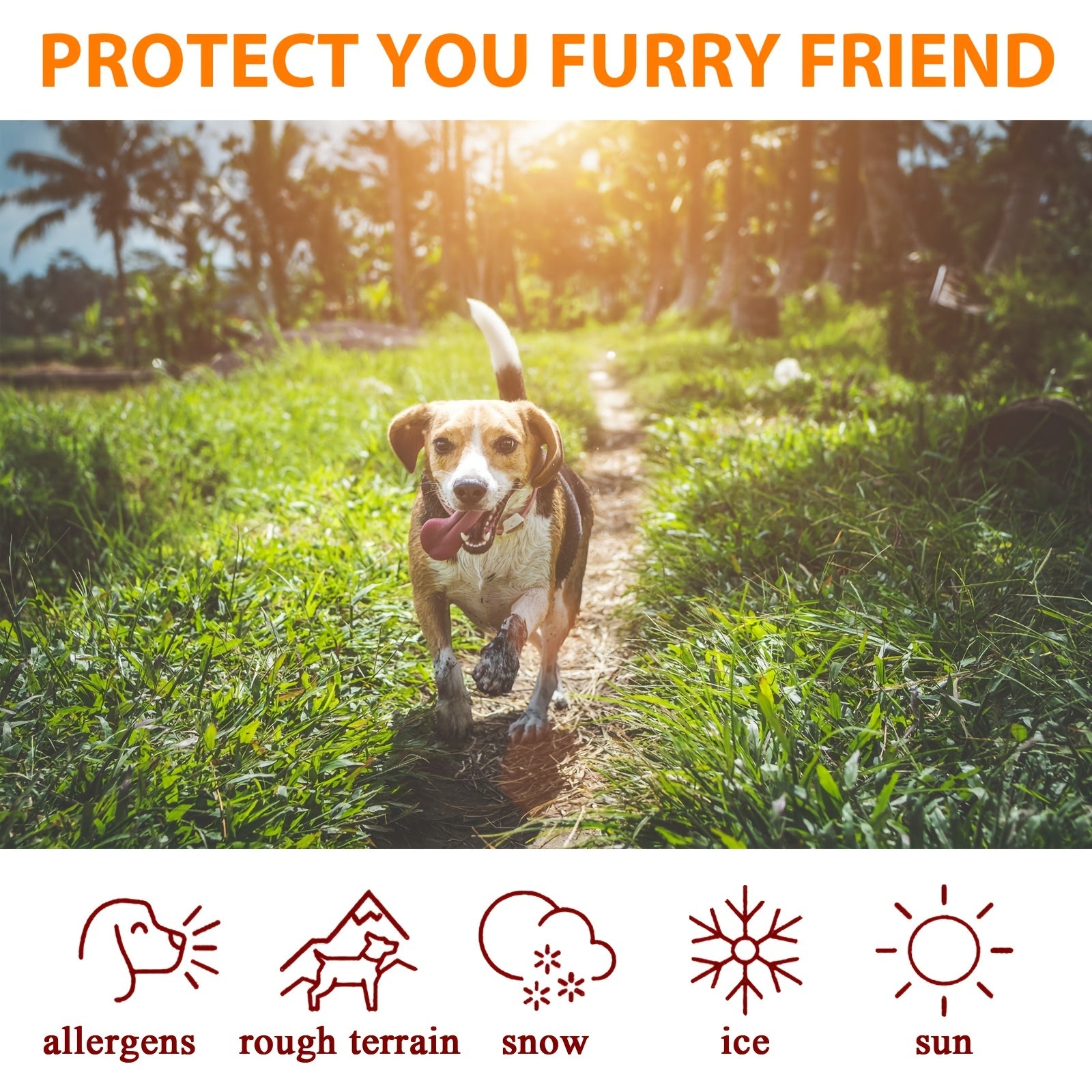 Paw Protection Cream: Soothes, Moisturizes & Heals Dry Paws