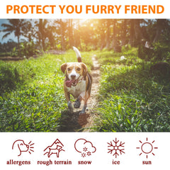 Paw Protection Cream: Soothes, Moisturizes & Heals Dry Paws