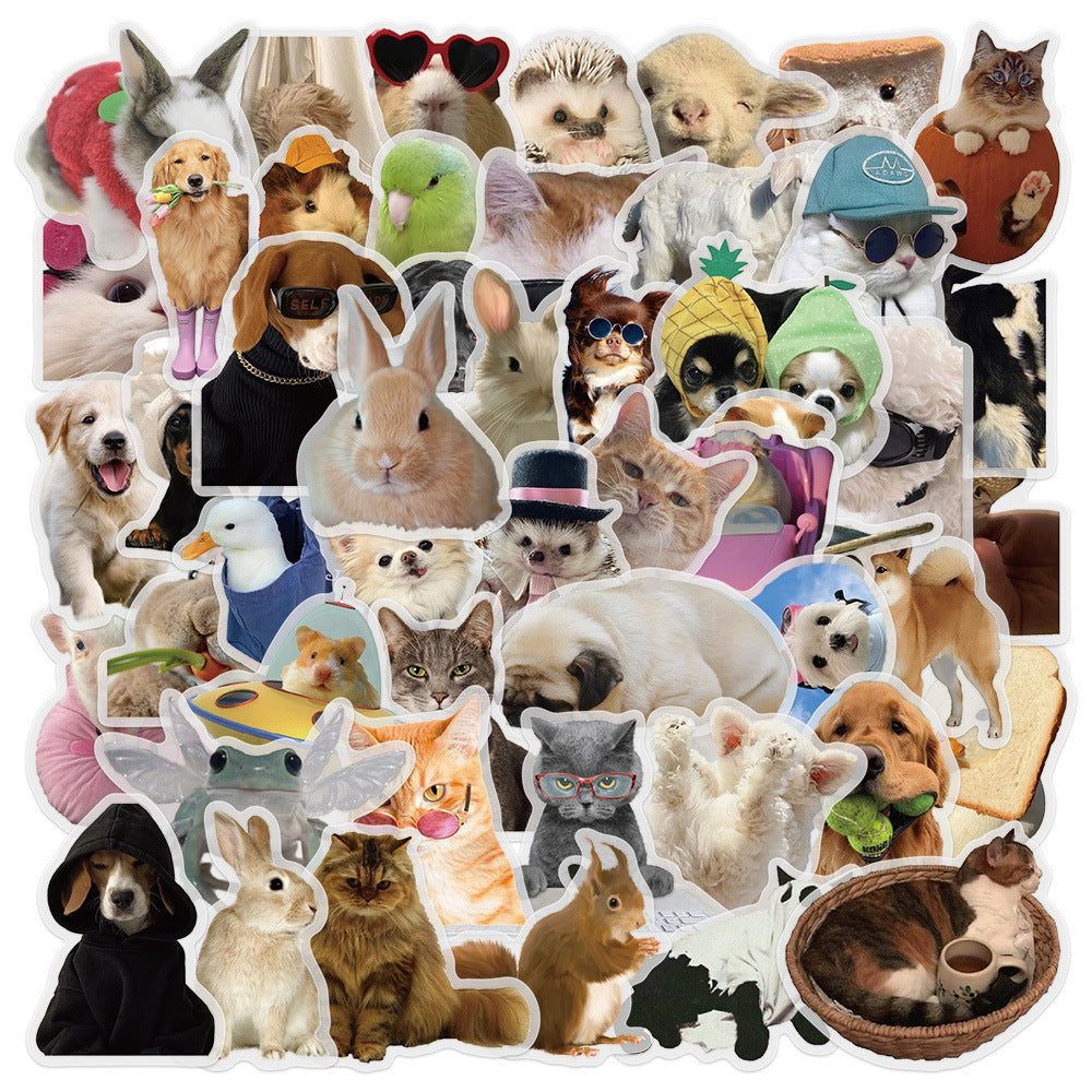 Funny Animal & Meme Stickers Waterproof Vinyl S