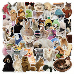 Funny Animal & Meme Stickers Waterproof Vinyl S