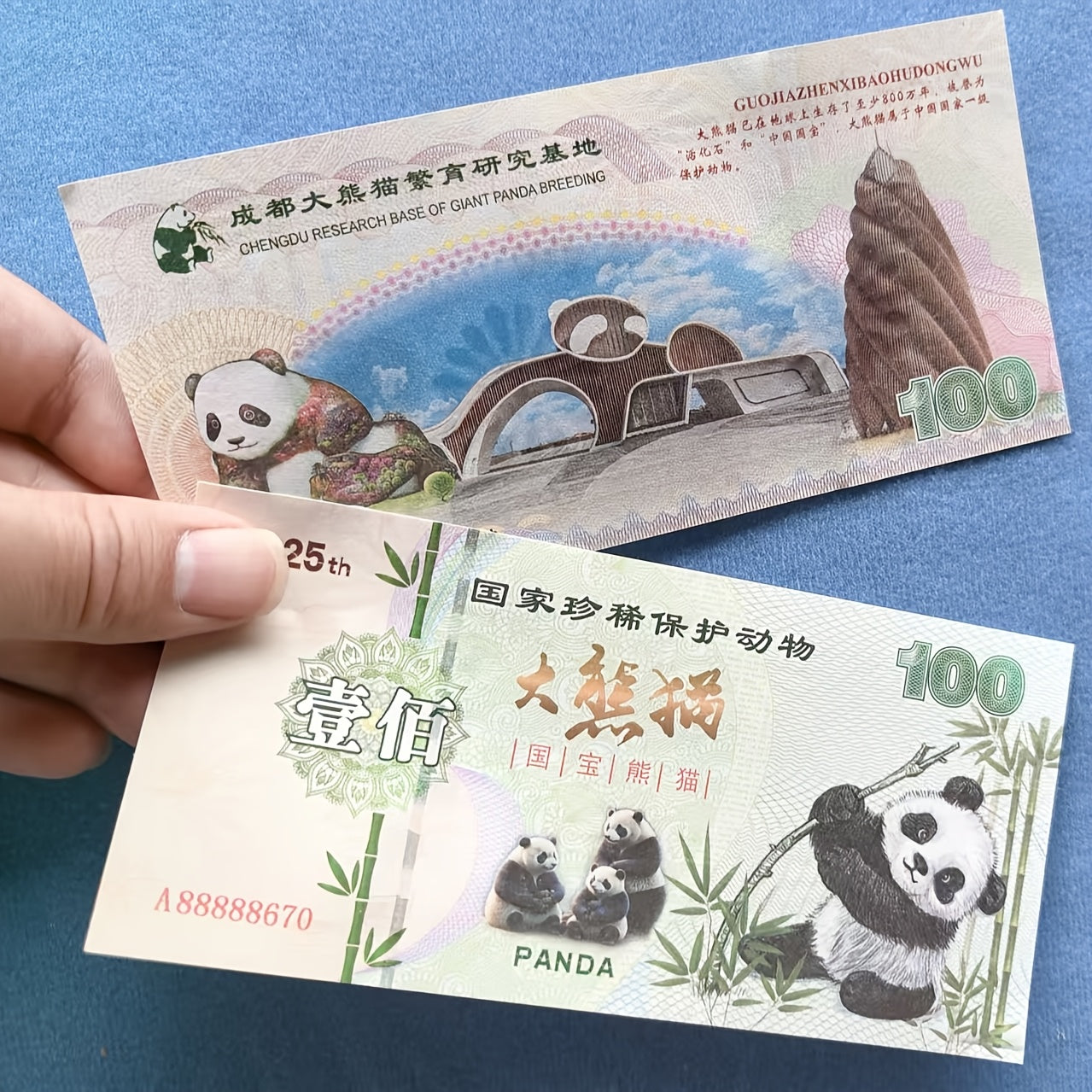 Giant Panda Collectible Banknotes Set