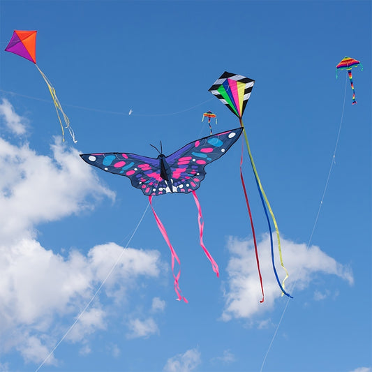 Large Butterfly Kite for Kids and Adults