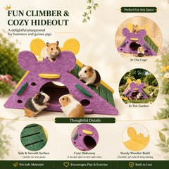 img_5309296