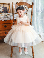 Little Girl Princess Dress