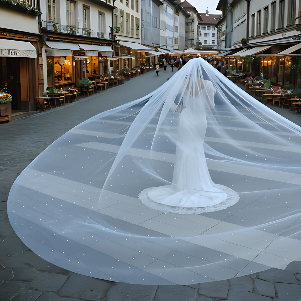 Bridal Veil 4x3m with Comb Wedding Accessories