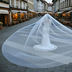 Bridal Veil 4x3m with Comb Wedding Accessories