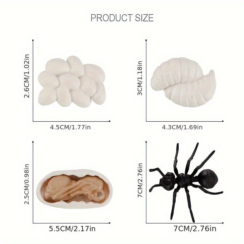 Children's Ant Family Growth Cycle Science Set
