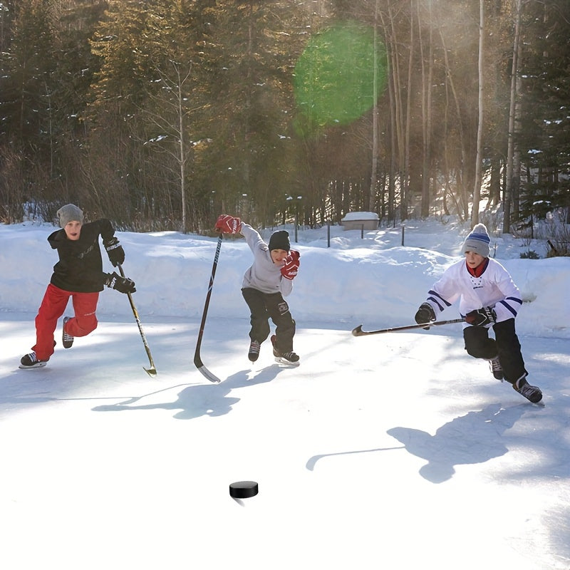 Professional Ice Hockey Puck for Game Training