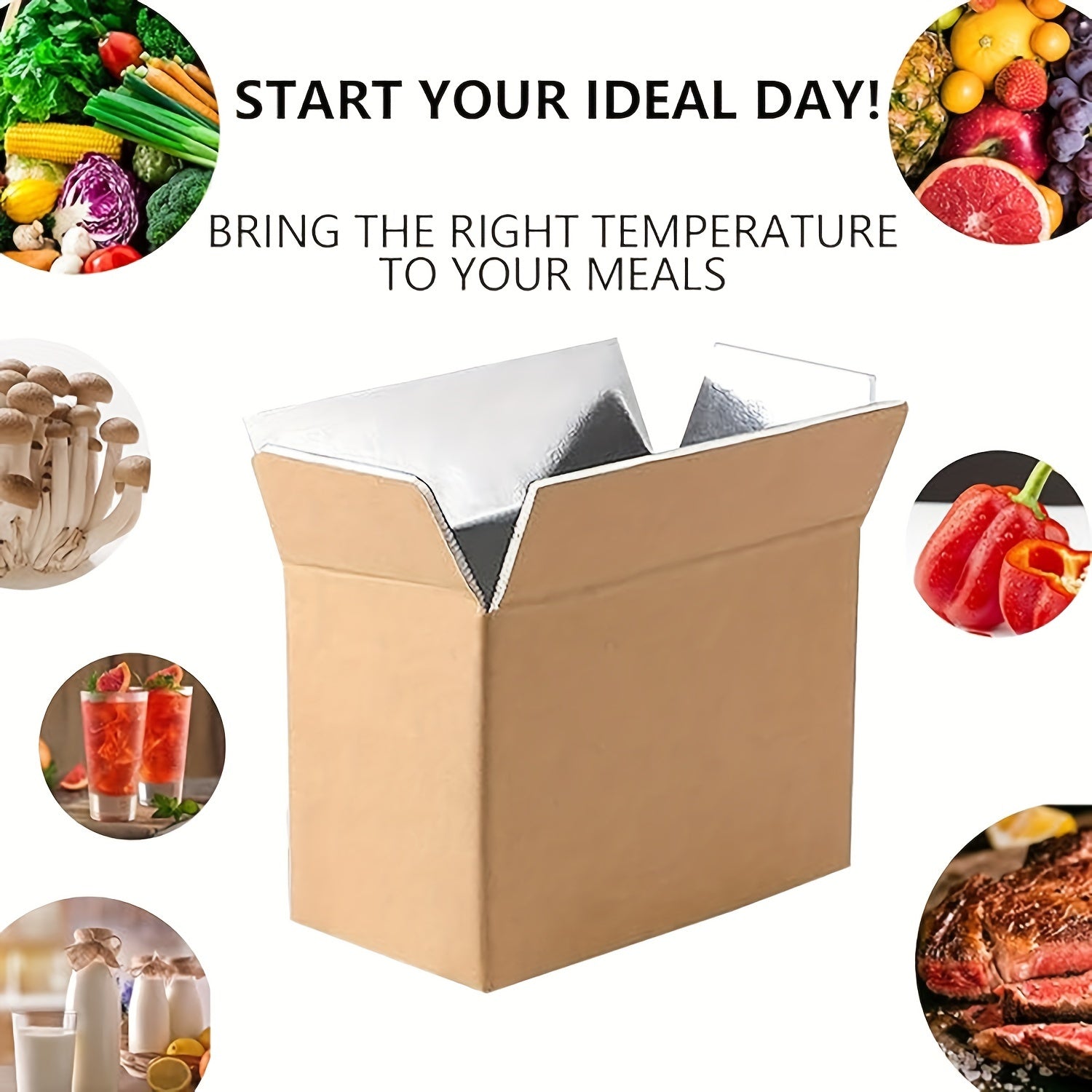 Insulated Box Cold Chill Double Insulated Carton