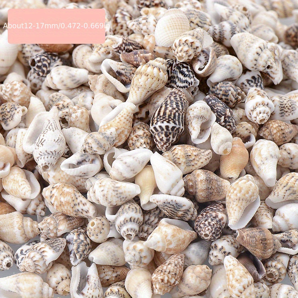 50Pcs Multicolor Conch Shell Beads for Jewelry Making DIY