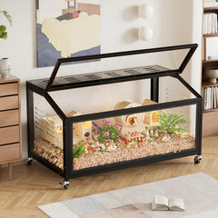 img_4081709