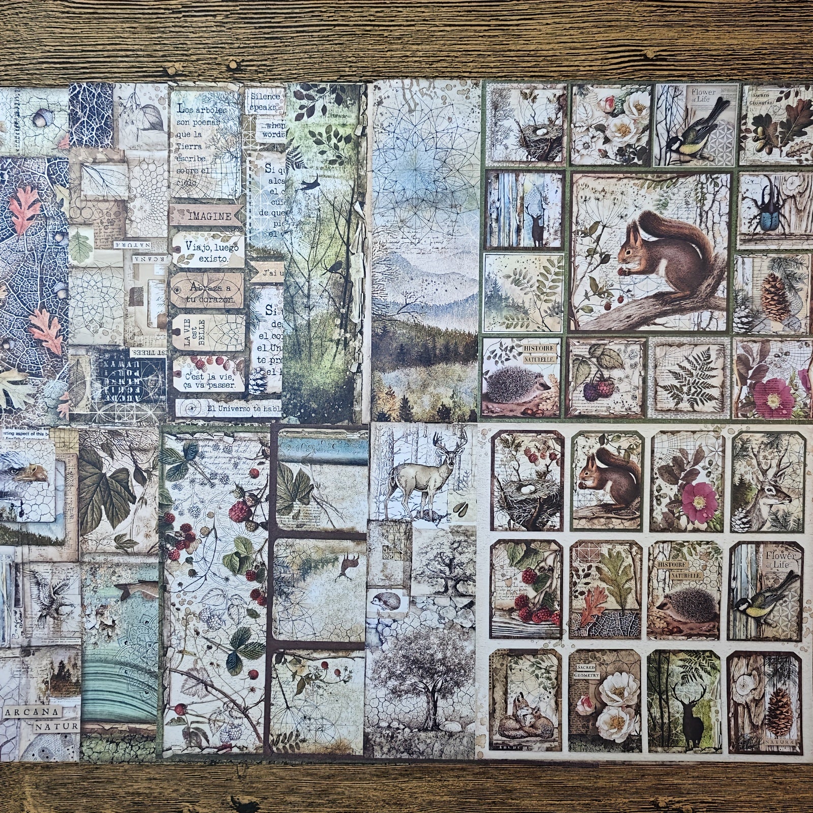 Vintage Forest Animal Paper for Bullet Journal Scrapbook DIY
