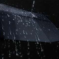 10 Ribs Auto Open Close Umbrella with Leather Cover