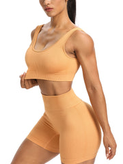 Ribbed Shockproof Sports Bra & Shorts Set