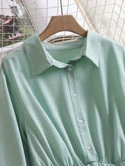  Lantern Sleeve Polo Neck Dress
