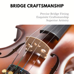 Acoustic Violin Starter Kit for Beginners with Hard Case