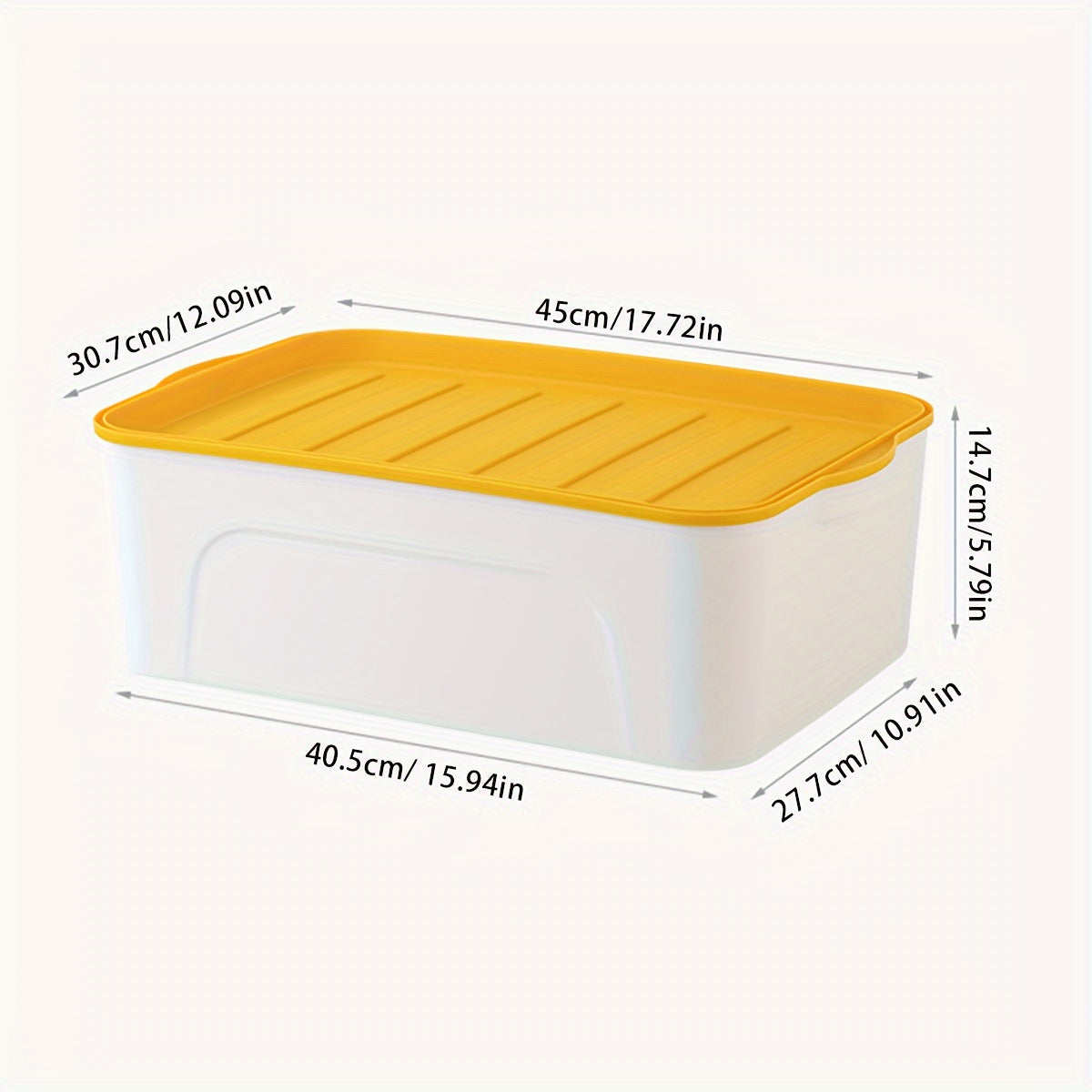 Plastic Storage Box with Lid Large Capacity