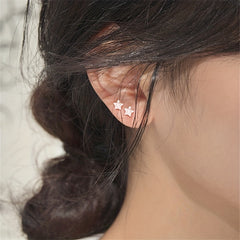 925 Silver Star Zircon Stud Earrings for Women