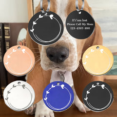 img_6604810