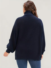  Solid Lantern Sleeve Turtle Neck Sweater
