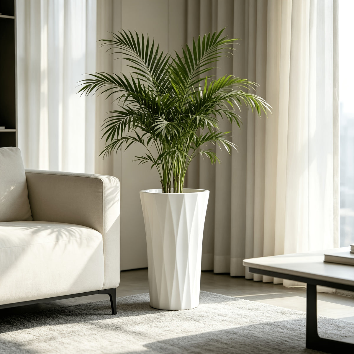 img_5481848