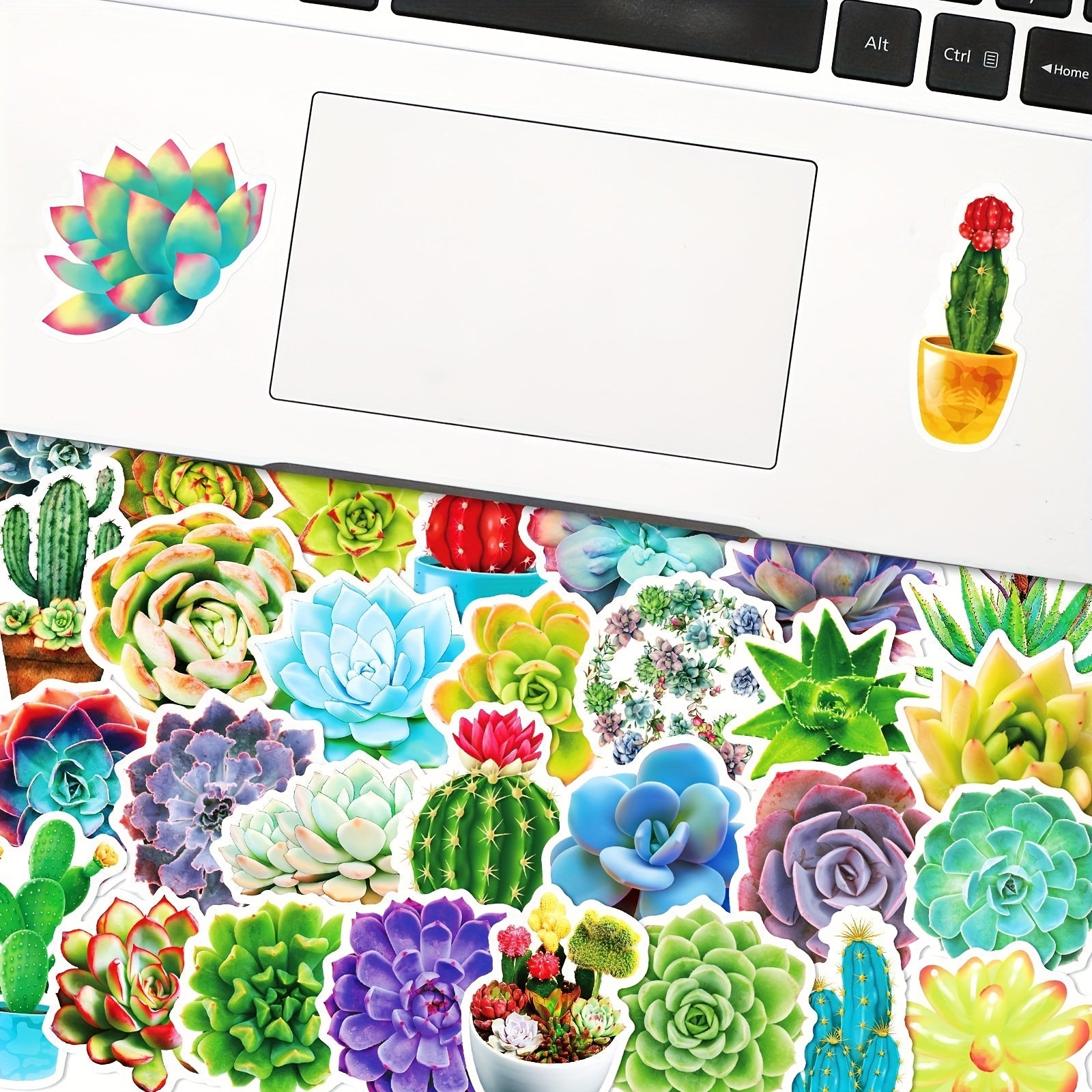 50pcs Waterproof Succulent Stickers Water Bottle Laptop Skateboard Scrapbook