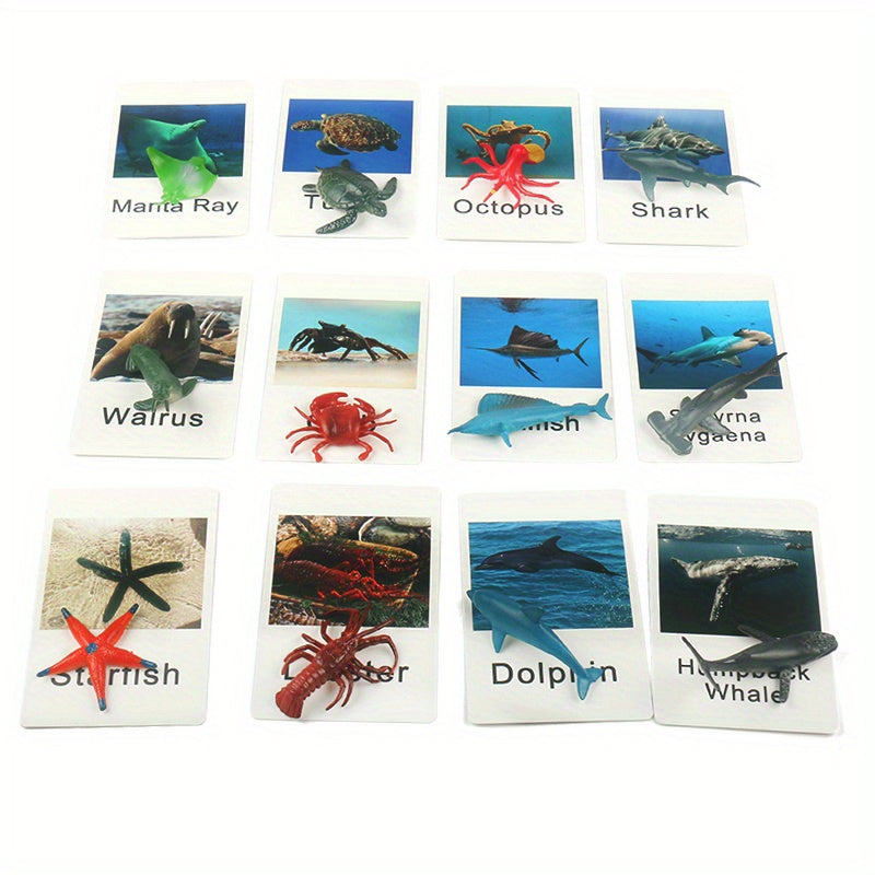 Montessori Animal Matching Card Educational Toy