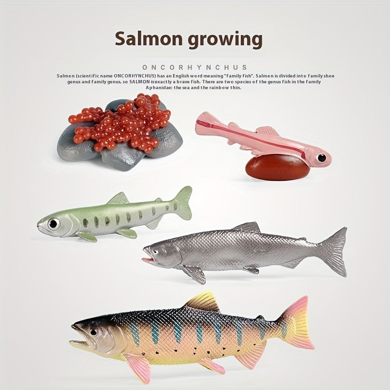 Marine Animals Growth Cycle Models Set