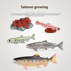 Marine Animals Growth Cycle Models Set