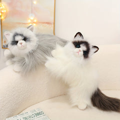 Ragdoll Cat Plush Toy Long Fur Stuffed Animal Mixed Colors