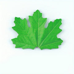 Maple Leaf Sticky Note 25 Sheets Office Student Simulation Leaf Sticky Note