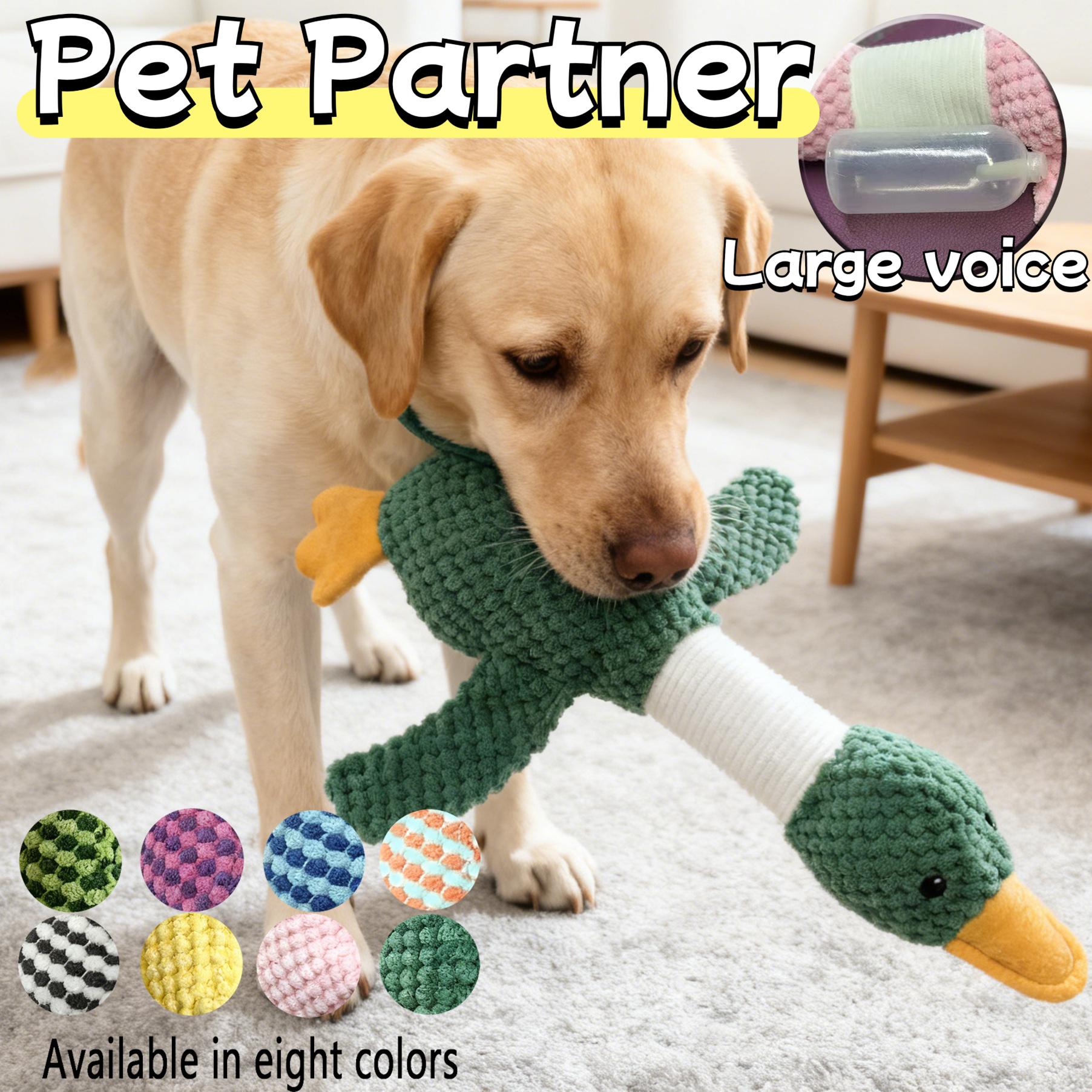 img_4109097