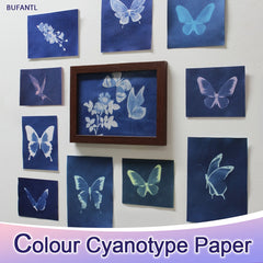 Colored Sun Print Paper Kit - A4 A5 A6 - Animal Plant Materials - Tutorials