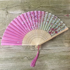 Classical Ancient Style Fan Dance Performance